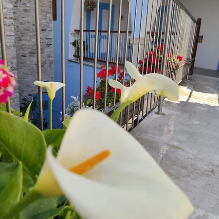 7kamares Pano Lefkara