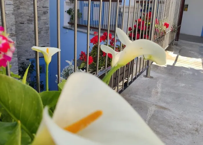 7kamares Pano Lefkara